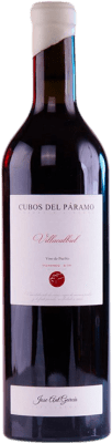 José Antonio García Cubos del Páramo Villacalbiel Prieto Picudo Tierra de León 75 cl