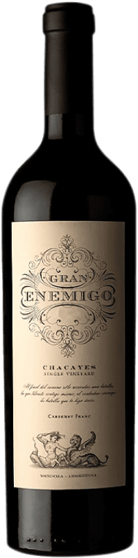 109,95 € Free Shipping | Red wine Aleanna Gran Enemigo Chacayes Argentina Cabernet Franc, Malbec Bottle 75 cl