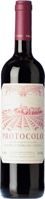 Dominio de Eguren Protocolo Tempranillo 年轻的 75 cl