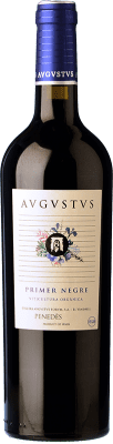 Augustus Forum Primer Young