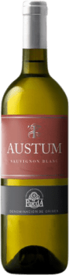 Tionio Austum Sauvignon White Rueda Молодой 75 cl