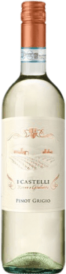 Cielo e Terra I Castelli Pinot Gris Italie Jeune 75 cl