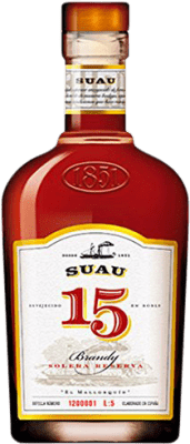 Brandy Suau 15 Years