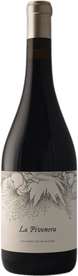 Viñas Serranas La Pivonera Calabrese — Калабрезе 75 cl