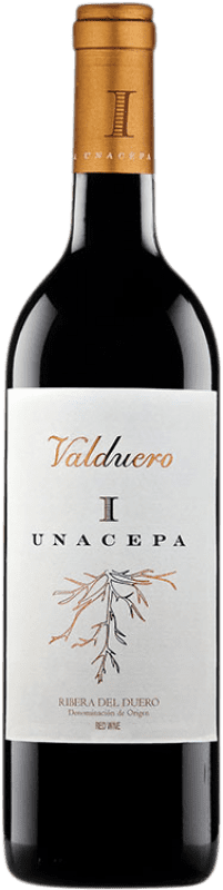 65,95 € | Red wine Valduero I Cepa D.O. Ribera del Duero Castilla y León Spain Tempranillo Magnum Bottle 1,5 L