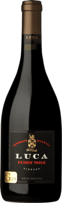 Luca Wines Laura Catena Pinot Black Valle de Uco Aged 75 cl