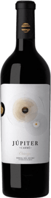 Júpiter Carmé Ribera del Duero 高齢者 75 cl