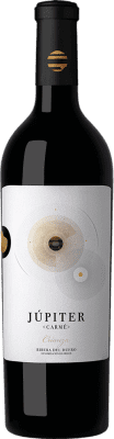 Júpiter Carmé Ribera del Duero 高齢者 75 cl