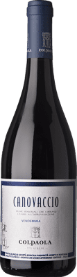 Colpaola Rosso Canovaccio Merlot Marche 75 cl