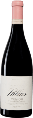 Domaine de Pallus Cabernet Franc Chinon 75 cl