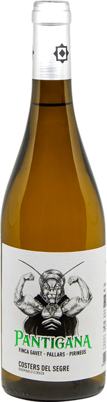 19,95 € Envio grátis | Vinho Branco Batlliu de Sort Pantigana D.O. Costers del Segre