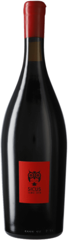 Kostenloser Versand | Rotwein Sicus Sumoi Àmfora D.O. Penedès Katalonien Spanien Sumoll 75 cl