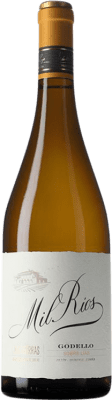 Terriña Mil Ríos Godello Valdeorras Sobre Lías — Sur Lies 75 cl