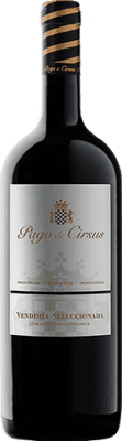 Pago de Cirsus Vendimia Seleccionada Vino de Pago Finca Bolandín старения бутылка Магнум 1,5 L