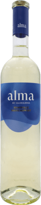Laguna Alma de Valdeguerra Malbec Semiseco — Semi Dry Vinos de Madrid 75 cl